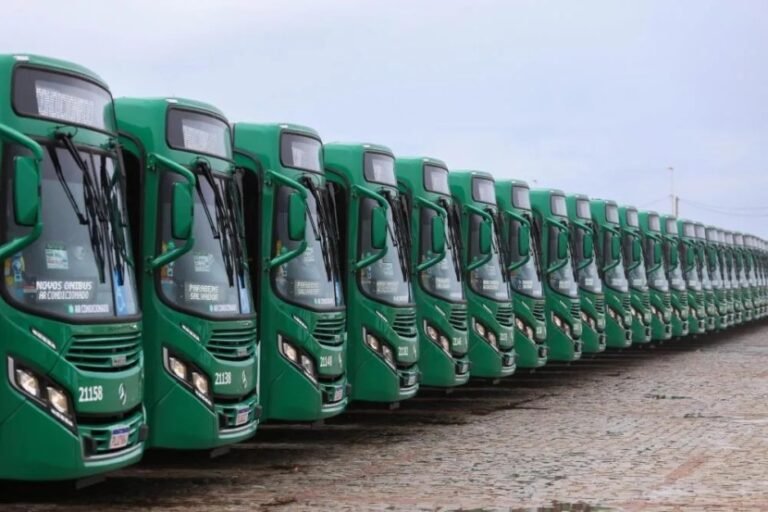 ônibus do transporte público de salvador enfileirados no estacionamento