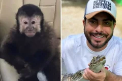Marcell Moraes e o macaco-preo