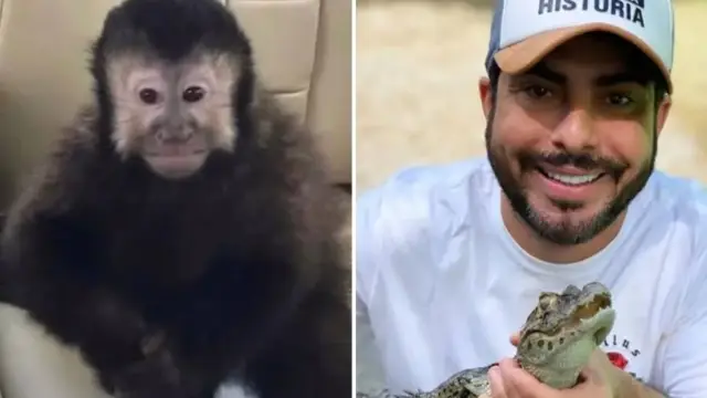 Marcell Moraes e o macaco-preo
