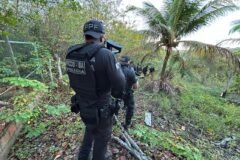 policiais na mata em busca de homem acusado de efetuar disparos em aeroporto