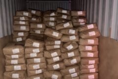 carga de cacau recuperada no sul do estado da Bahia