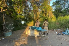 PM localiza acampamento de traficantes em mata na cidade de Nazaré, no Recôncavo Baiano