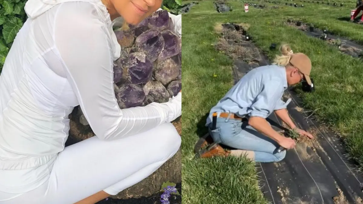 Yolanda Hadid em sua fazenda na Pensilvânia com campos de lavanda